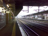 20080505.jpg